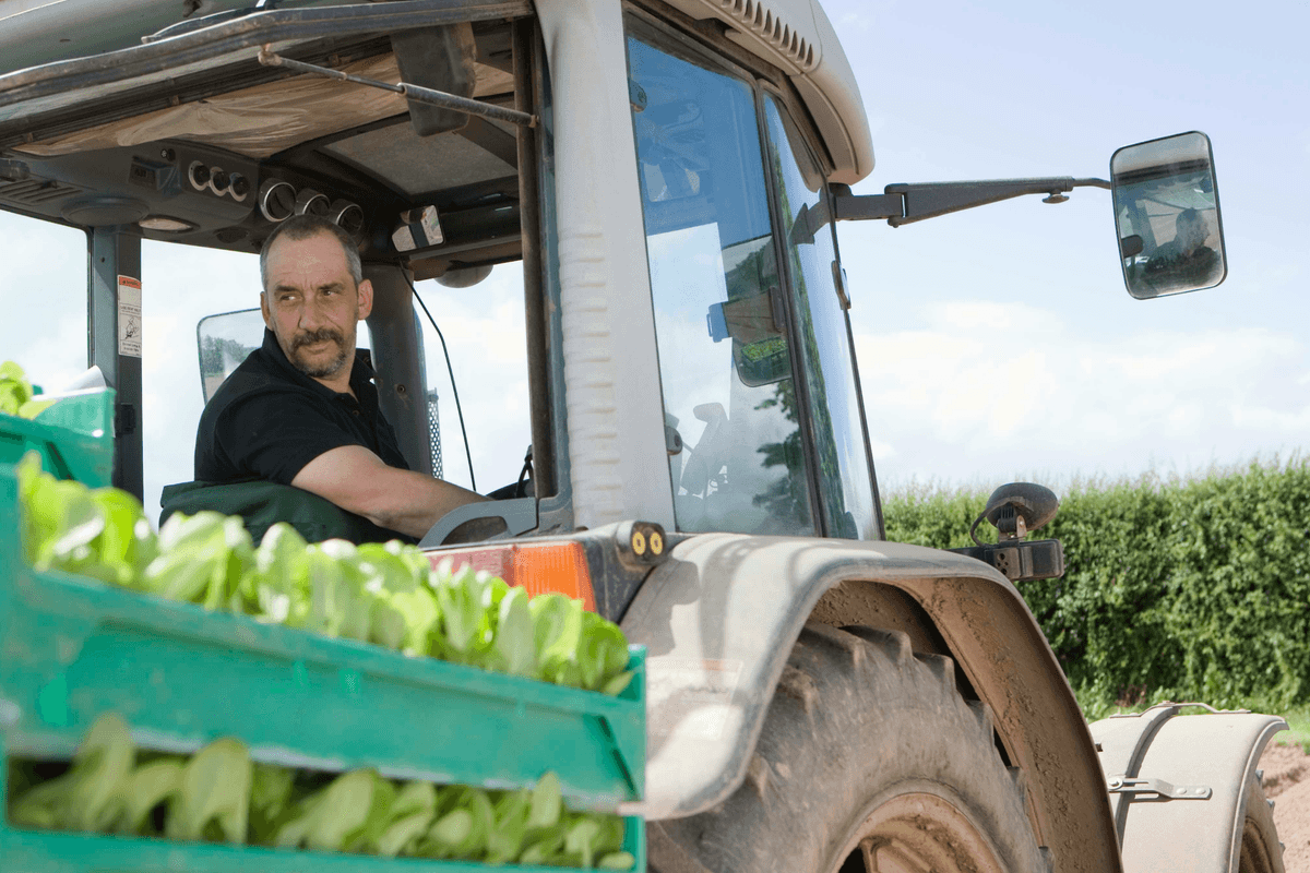 Малі агровиробники (із земельним банком до 500 га)