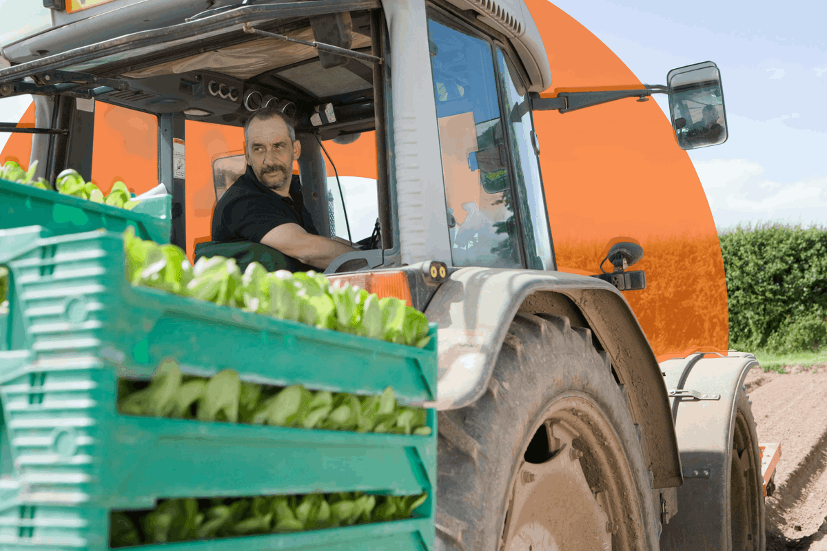 Фермерські господарства: кредити для малих агровиробників (із земельним банком до 500 га)